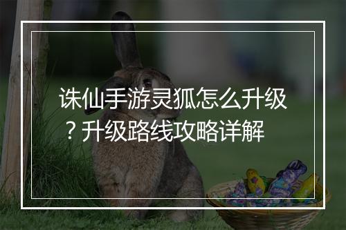 诛仙手游灵狐怎么升级？升级路线攻略详解