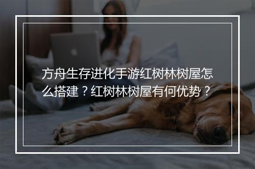 方舟生存进化手游红树林树屋怎么搭建?红树林树屋有何优势?