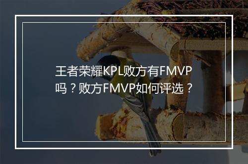 王者荣耀KPL败方有FMVP吗?败方FMVP如何评选?