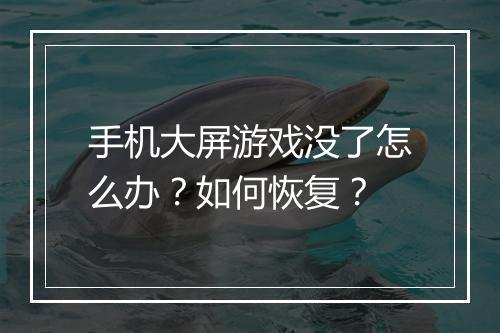 手机大屏游戏没了怎么办?如何恢复?