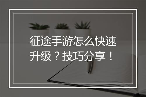 征途手游怎么快速升级?技巧分享!