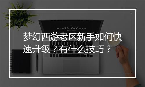 梦幻西游老区新手如何快速升级?有什么技巧?