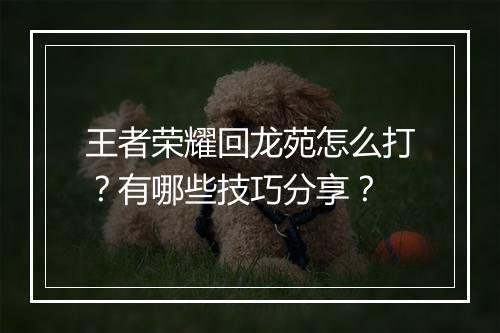 王者荣耀回龙苑怎么打?有哪些技巧分享?