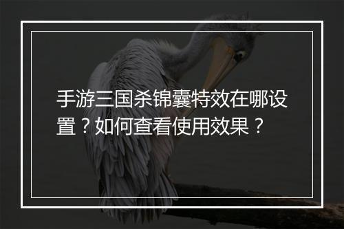 手游三国杀锦囊特效在哪设置?如何查看使用效果?