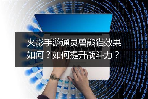 火影手游通灵兽熊猫效果如何？如何提升战斗力？