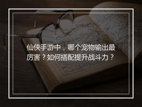 仙侠手游中,哪个宠物输出最厉害?如何搭配提升战斗力?
