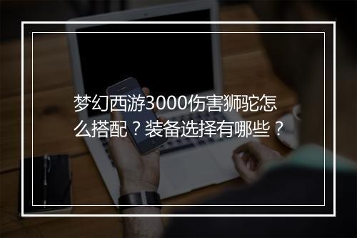 梦幻西游3000伤害狮驼怎么搭配?装备选择有哪些?