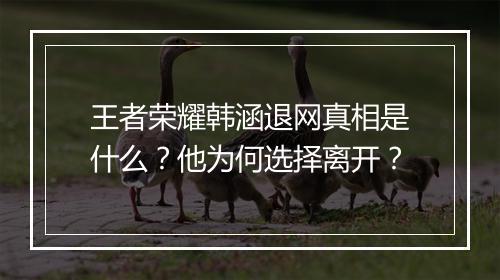 王者荣耀韩涵退网真相是什么？他为何选择离开？
