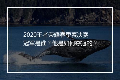 2020王者荣耀春季赛决赛冠军是谁?他是如何夺冠的?