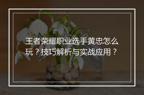 王者荣耀职业选手黄忠怎么玩?技巧解析与实战应用?