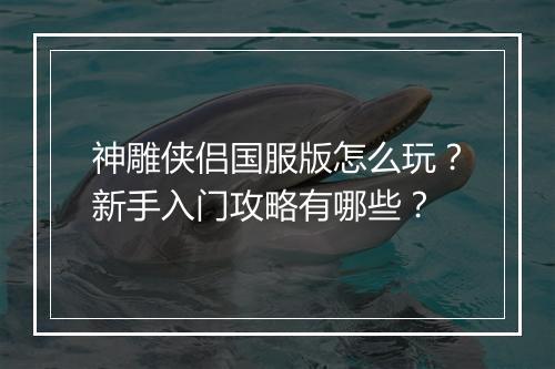 神雕侠侣国服版怎么玩？新手入门攻略有哪些？