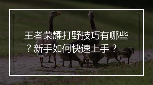 王者荣耀打野技巧有哪些？新手如何快速上手？
