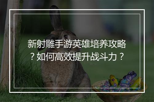 新射雕手游英雄培养攻略？如何高效提升战斗力？