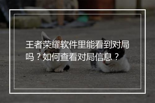 王者荣耀软件里能看到对局吗？如何查看对局信息？