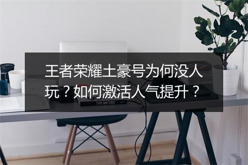 王者荣耀土豪号为何没人玩？如何激活人气提升？