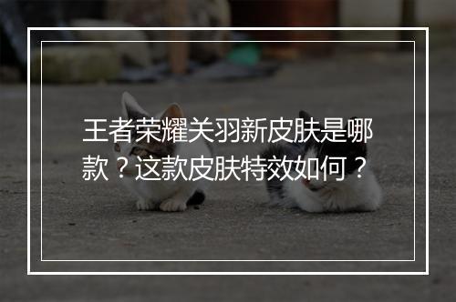 王者荣耀关羽新皮肤是哪款？这款皮肤特效如何？