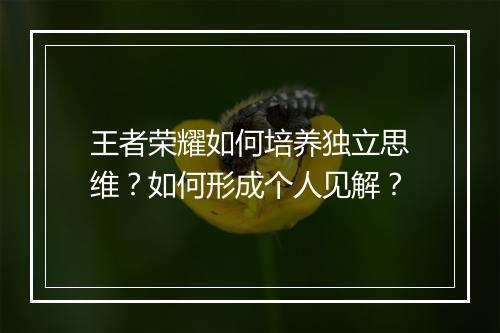 王者荣耀如何培养独立思维？如何形成个人见解？