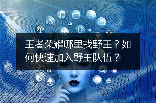 王者荣耀哪里找野王？如何快速加入野王队伍？