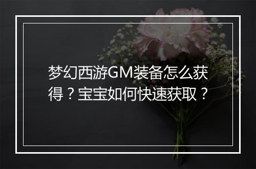 梦幻西游GM装备怎么获得？宝宝如何快速获取？