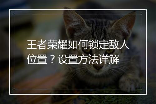 王者荣耀如何锁定敌人位置？设置方法详解