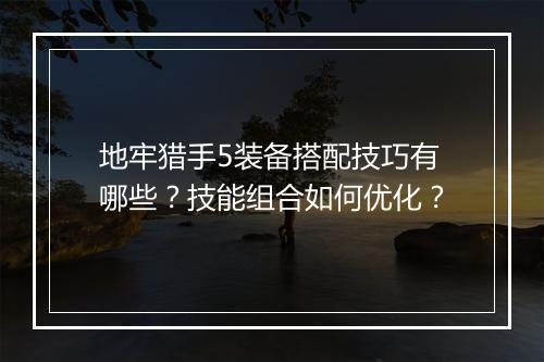 地牢猎手5装备搭配技巧有哪些？技能组合如何优化？