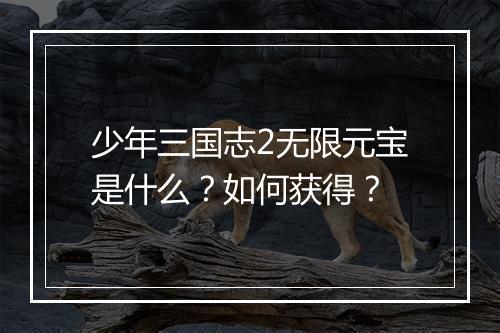少年三国志2无限元宝是什么？如何获得？