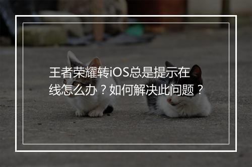 王者荣耀转iOS总是提示在线怎么办？如何解决此问题？