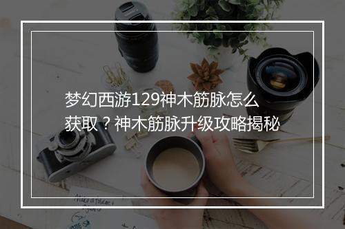 梦幻西游129神木筋脉怎么获取？神木筋脉升级攻略揭秘