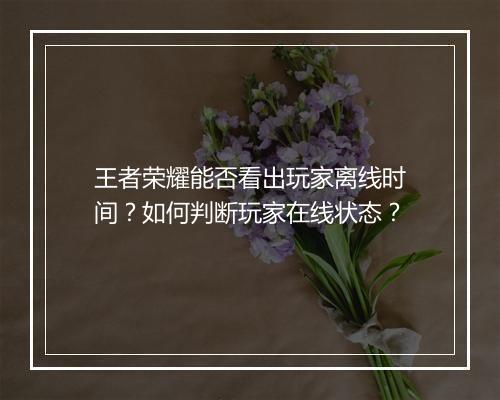 王者荣耀能否看出玩家离线时间？如何判断玩家在线状态？