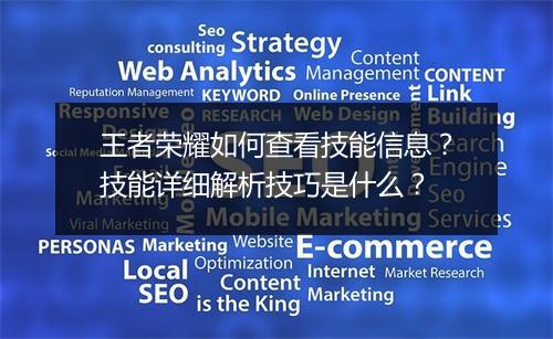 王者荣耀如何查看技能信息？技能详细解析技巧是什么？