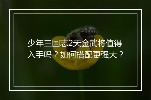 少年三国志2天金武将值得入手吗？如何搭配更强大？