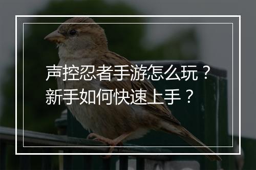 声控忍者手游怎么玩？新手如何快速上手？