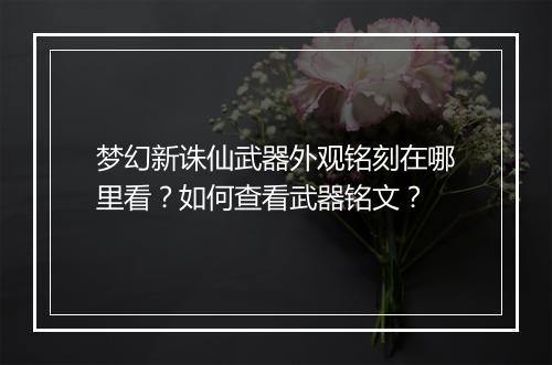 梦幻新诛仙武器外观铭刻在哪里看？如何查看武器铭文？