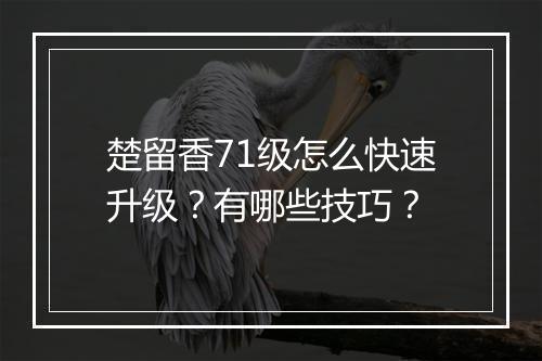 楚留香71级怎么快速升级？有哪些技巧？