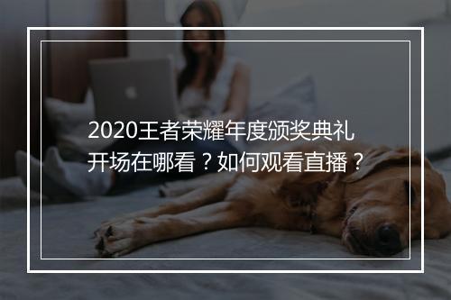 2020王者荣耀年度颁奖典礼开场在哪看？如何观看直播？