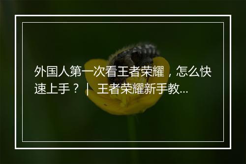 外国人第一次看王者荣耀，怎么快速上手？｜ 王者荣耀新手教程推荐