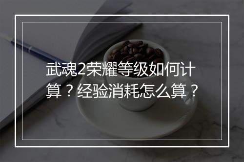 武魂2荣耀等级如何计算？经验消耗怎么算？