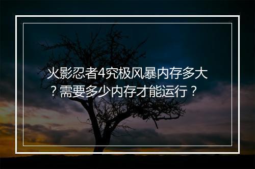 火影忍者4究极风暴内存多大？需要多少内存才能运行？