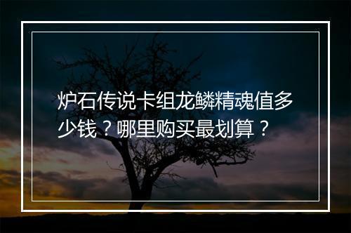 炉石传说卡组龙鳞精魂值多少钱？哪里购买最划算？