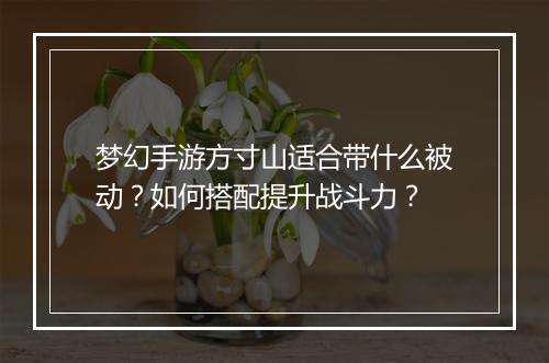 梦幻手游方寸山适合带什么被动？如何搭配提升战斗力？