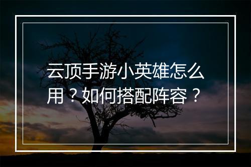 云顶手游小英雄怎么用？如何搭配阵容？