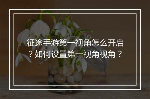 征途手游第一视角怎么开启？如何设置第一视角视角？