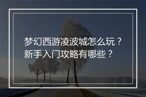 梦幻西游凌波城怎么玩？新手入门攻略有哪些？