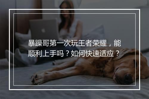 暴躁哥第一次玩王者荣耀，能顺利上手吗？如何快速适应？