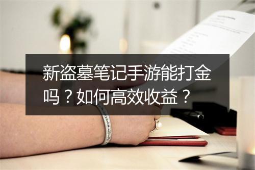 新盗墓笔记手游能打金吗？如何高效收益？