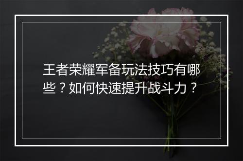 王者荣耀军备玩法技巧有哪些？如何快速提升战斗力？