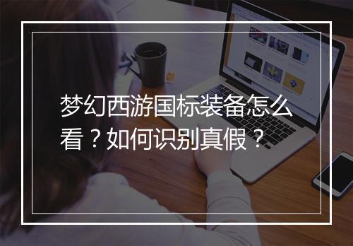 梦幻西游国标装备怎么看？如何识别真假？