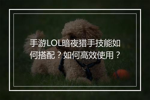 手游LOL暗夜猎手技能如何搭配？如何高效使用？