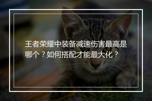 王者荣耀中装备减速伤害最高是哪个？如何搭配才能最大化？