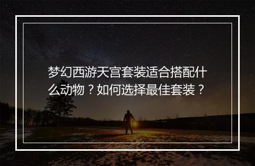 梦幻西游天宫套装适合搭配什么动物？如何选择最佳套装？